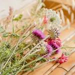 La Fornace * 산카시아노데이반니